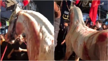 Horse Paraded Video: मुंबई में मुहर्रम जुलूस में घायल घोड़े की परेड, 'जख्म से लहूलुहान' जानवर को देख भड़क गए लोग